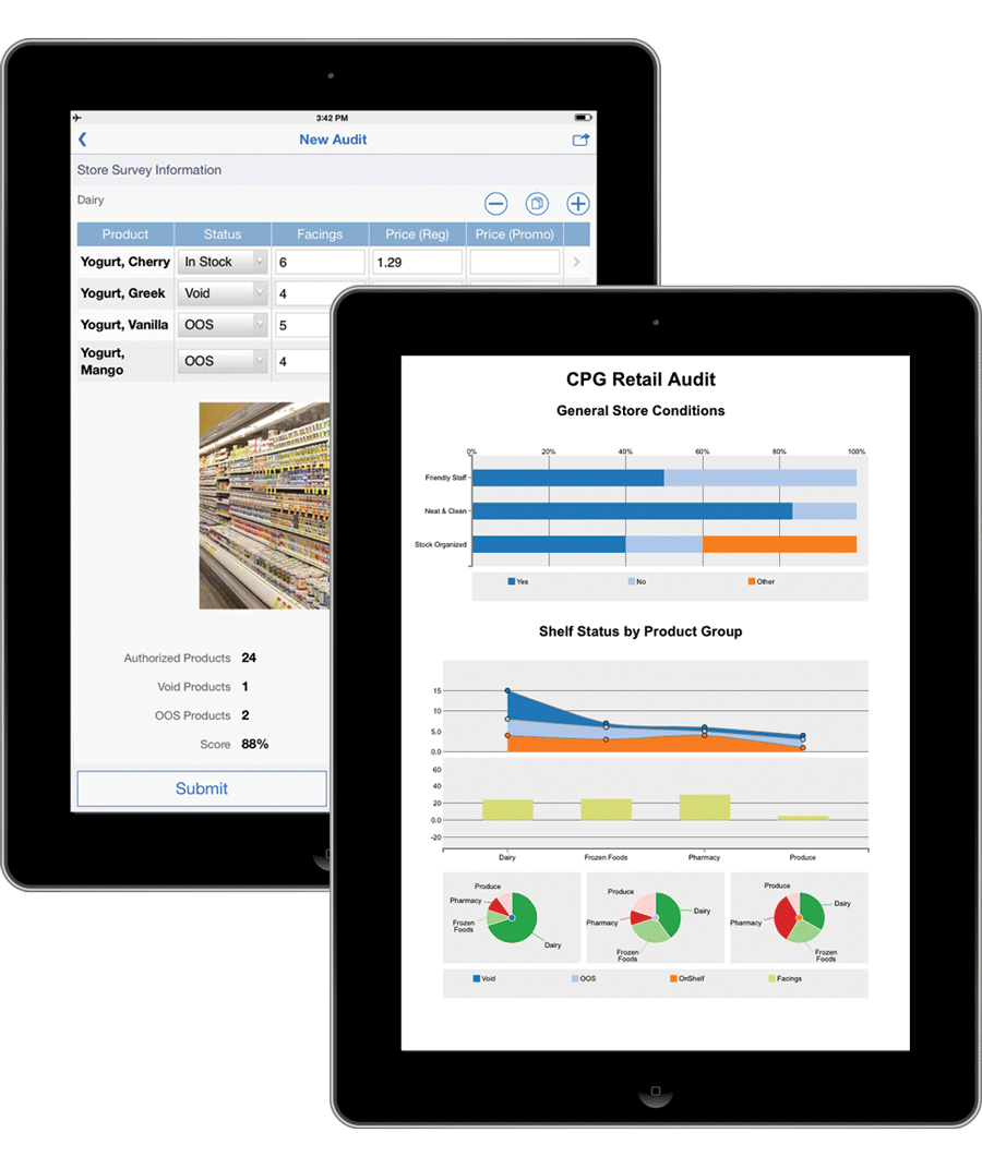 retail audit ipad